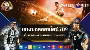 แทงบอลออนไลน์789 เว็บตรงไม่ผ่านเอเย่นต์ ผ่านมือถือ