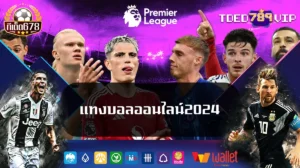 แทงบอลออนไลน์2024